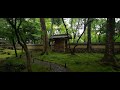 西芳寺（苔寺）の庭園 (The garden of the Saiho-ji Temple, a World Heritage site)