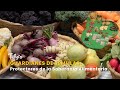 Guardianes de Semillas: Protectores de la Soberanía Alimentaria - TvAgro por Juan Gonzalo Angel