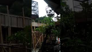 Download Lagu suara perkutut ini bikin merinding MP3