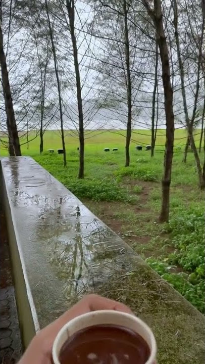 seduh kopi biar lebih tenang