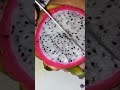 dragon fruit/ Dhruv pal vlogs