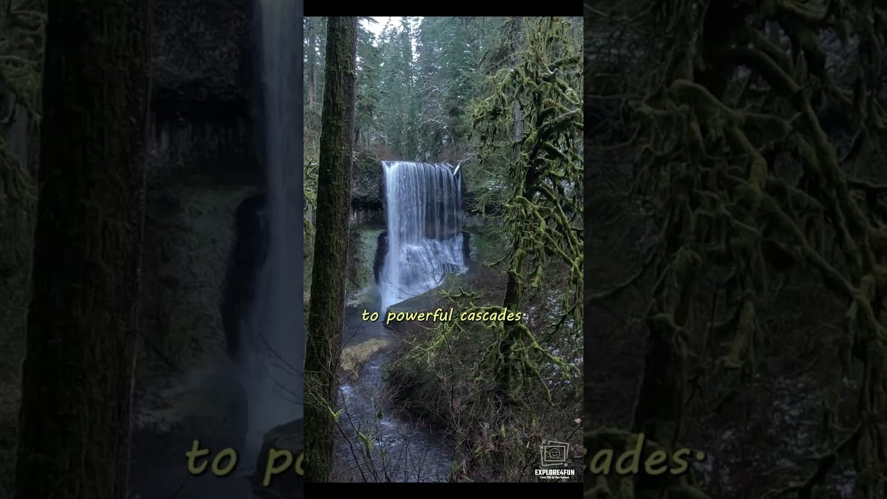 Exploring the Stunning Trail of Ten Falls in Silver Falls State Park