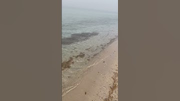 سورة المزمل عبدالرحمن مسعد #القرآن_الكريم #اجر_لي_ولك #اكتب_شي_تؤجر_عليه #عبدالرحمن_مسعد