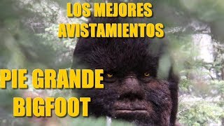 PIE GRANDE (BIGFOOT) AVISTAMIENTOS REALES