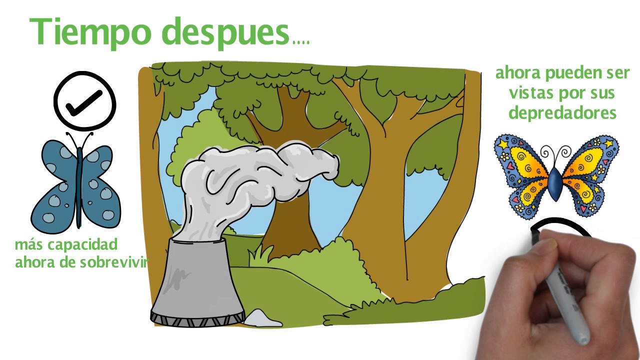 Relación entre selección natural y evolución-BIOLOGIA