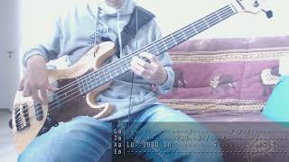 Red Hot Chili Peppers - Black Summer [Bass Cover + Tab]