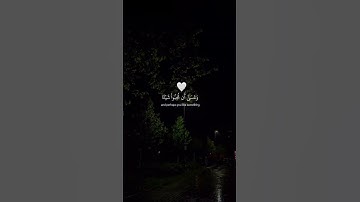 وَعَسَى أَنْ تَكْرَهُوا شَيْئًا وَهُوَ خَيْرٌ لَكُمْ 🥹💔 القارئ محمد هشام