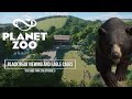 Black Bear Viewing and Eagle Aviary| The Gage Park Zoo Episode 5| Planet Zoo Sandbox