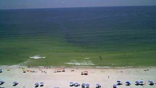 Bluewater condo's view of the gulf