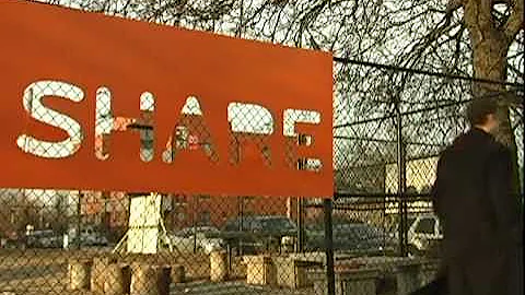 The Effects of Genetically Modified Foods