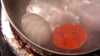 Color Changing Egg Timer