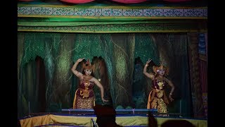 Tari Janger Cendra Wasih Restu Kencana Alas Malang Banyuwangi