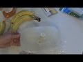 Worlds Best Gnat / Fruit Fly Trap  - It really works GREAT on those fruit Flies!