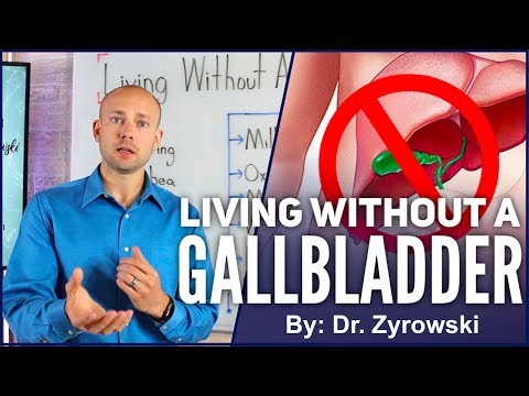 Living Without A Gallbladder | Important Details