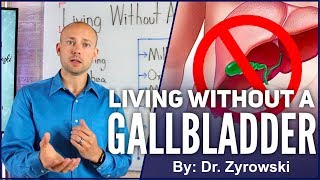 Living Without A Gallbladder Important Details