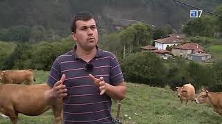 Julio Labra, uno de los pocos jóvenes ganaderos que se mantienen en Parres