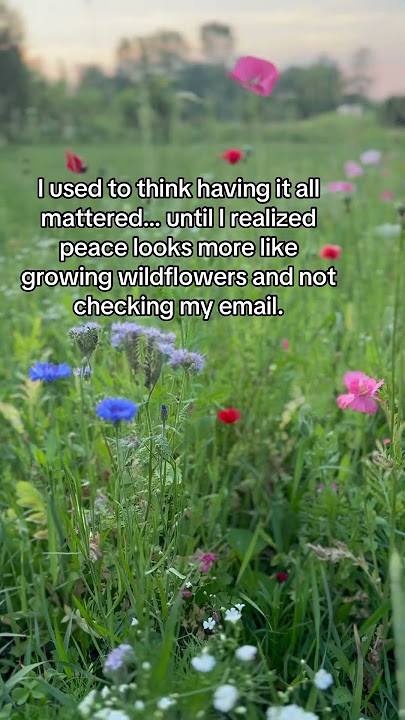 Burnout recovery doesn’t always look like bubble baths. Sometimes it’s growing wildflowers #flowers