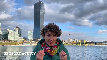 Communication Excellence via NLP S01E03: Sensory Acuity