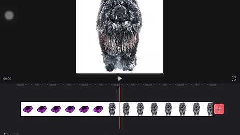 How to do a zoom in spin transition is Videoleap (for beginners)