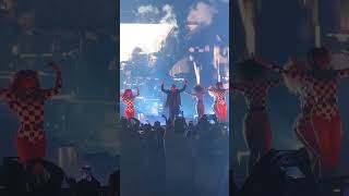 Pitbull In Concert - 2024