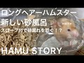 【ハムスター】新しいお風呂！ハーモニーバスレビュー！｜砂浴び｜ロングヘアー｜hamster｜Sand bathing