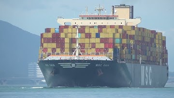 Container Ship《MSC GAIA》Crossing Tsing Ma Bridge in HK  20250517