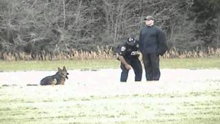 2008 USPCA Regionals - Criminal Apprehension