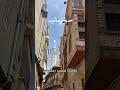 مدينه رشيد رشيدة البحيرة