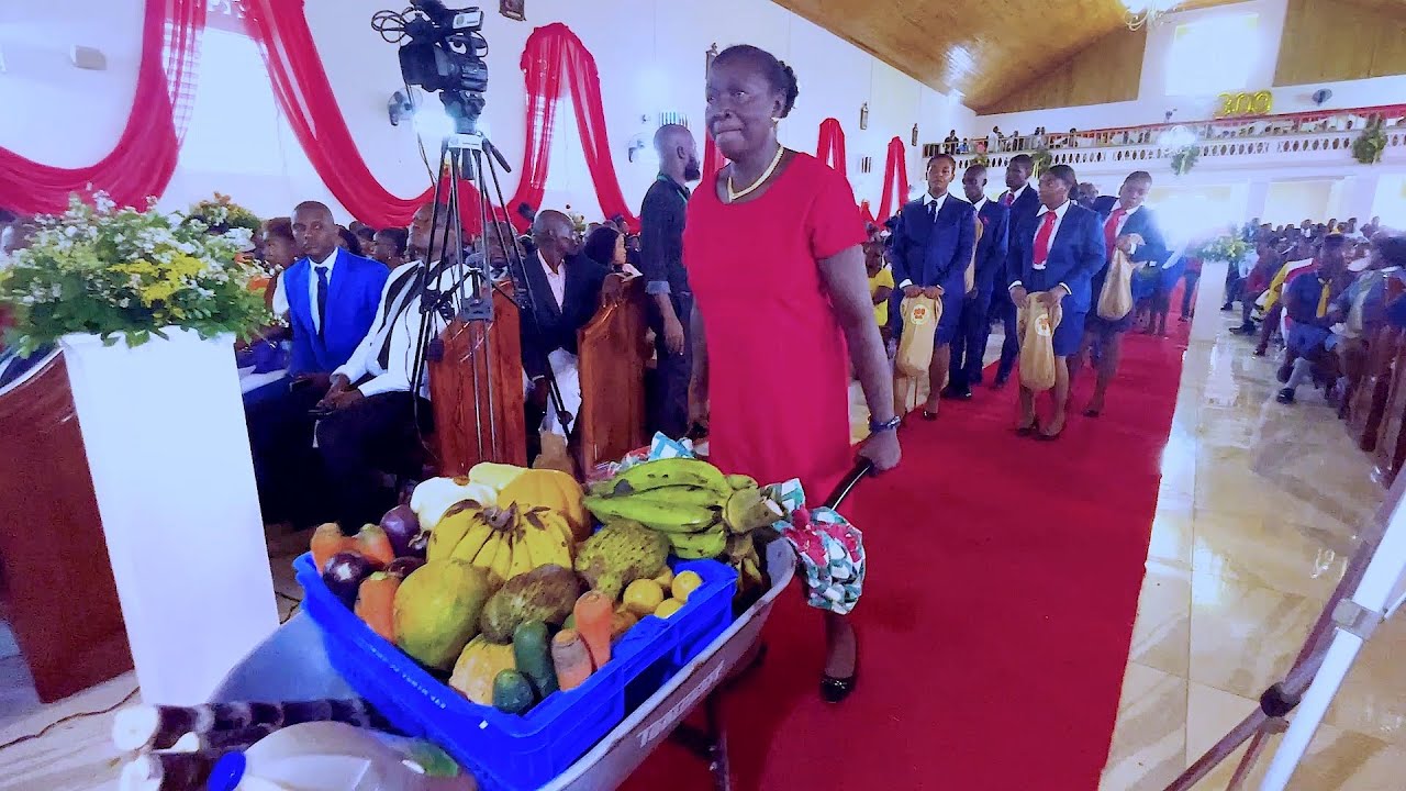 Résumé du grand jour de la Fête Patronale St Louis à Mirebalais aout 2023