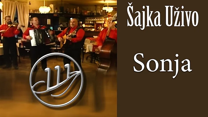 Orkestar ajka - Sonja  (Official Video)