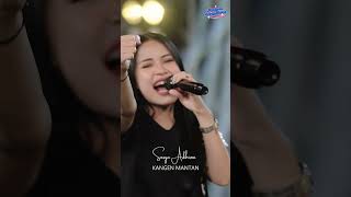 Download Lagu Sumpah Kangen Tenan #kangenmantan #sasyaarkhisna #ambyareverywhere #shortvideo #dangdutkoplo #music MP3