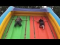 Jeu du slide force