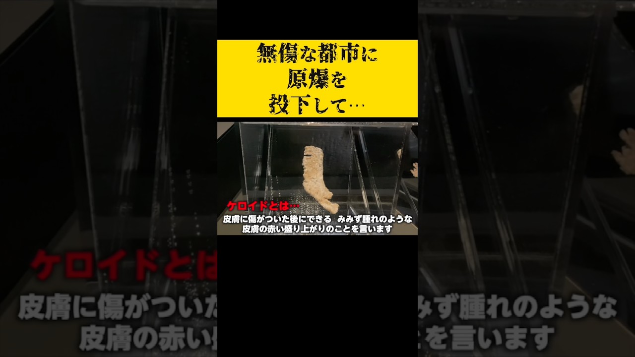 【歴史】なぜ空襲を禁止にしかたわかりますか?