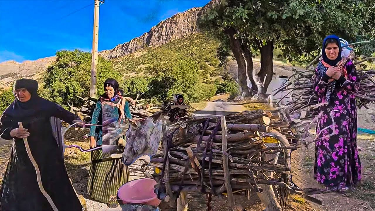 rural Family Thrives Through Hard Work - YouTube