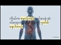 အတိတ်ကို ကုစားခြင်း | Healing the Past: The Hidden Power of Memories