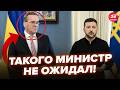 🔥Зеленський сказав ПРАВДУ ПРЯМО В ОБЛИЧЧЯ Пісторіусу! Перебив МІНІСТРА ПІСЛЯ слів про війну