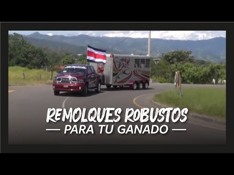 🤑🔥😱 Remolque para Caballos de LUJO | Remolques para TOROS - VACAS - GANADO