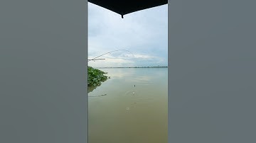 Câu tôm mùa mưa #caucachill #fishing #caucathugian #caucamuamua