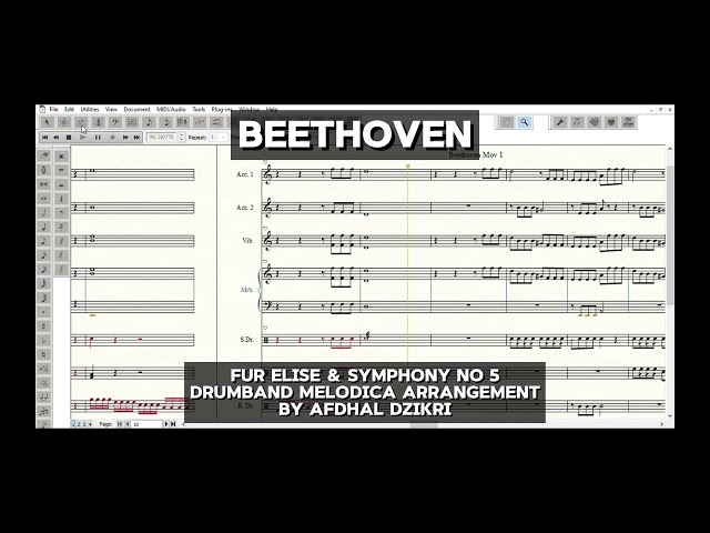 Beethoven | Fur Elise & Symphony no 5 Drum Band Melodica Arrangement class=