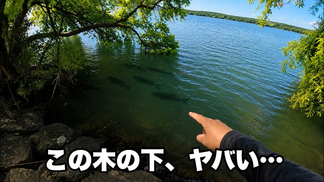 けいた様 I found a 