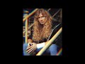 Megadeth  blood of heroes only vocals