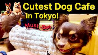 This Tokyo Dog Café Will Melt Your Heart, A Hidden Gem In Japan, Mrs Vegan