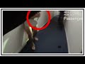 Nude Man Picks Up Knife (Officer Involved Shooting) | Body Cam & 911 | United States | 20181231