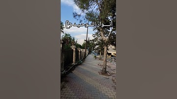 أنــــوار التــوحـيـد ᥫᩣلحظة من القرآن تمس القلب 😴🎧 #القرآن_الكريم #المصحف #آيات_الرحمة #اكسبلور