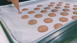 Chia Sẻ Cách Làm Bánh Chiffon Cuộn