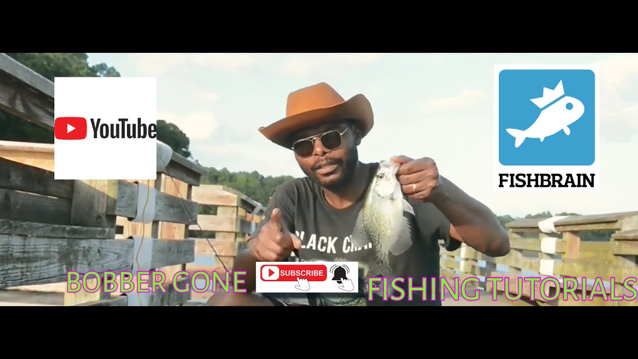 BOBBER GONE FISHBRAIN APP TUTORIAL