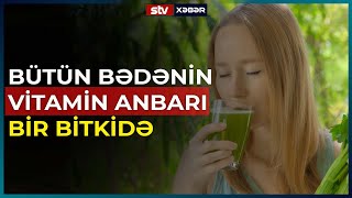 BÜTÜN BƏDƏNİN VİTAMİN ANBARI BİR BİTKİDƏ