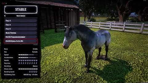 Horse Breeding on RedM on The Tackroom - KD Breeding Script Tutorial