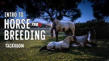 Horse Breeding on RedM on The Tackroom - KD Breeding Script Tutorial