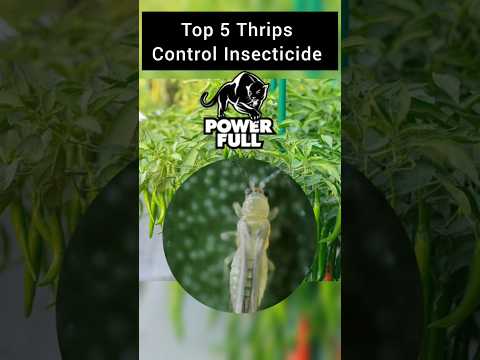 Top 🔝 5 Insecticide For Thrips Control #farming #shorts #thrips #youtubeshorts